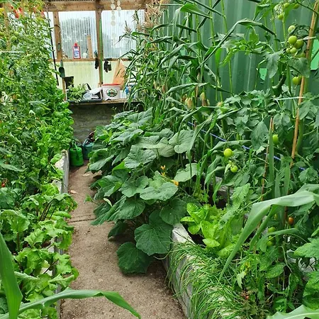 Dom wakacyjny Jackie’s @ Bontrum Ballinrobe