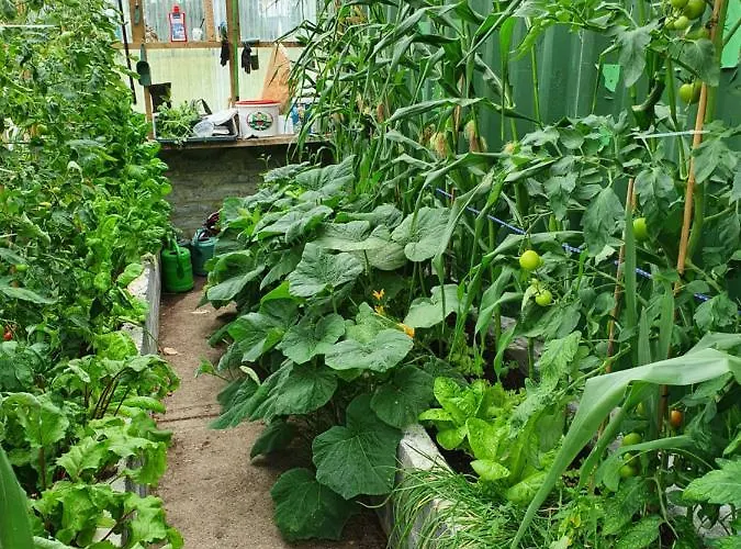 펜션 Jackie's @ Bontrum 발린로브